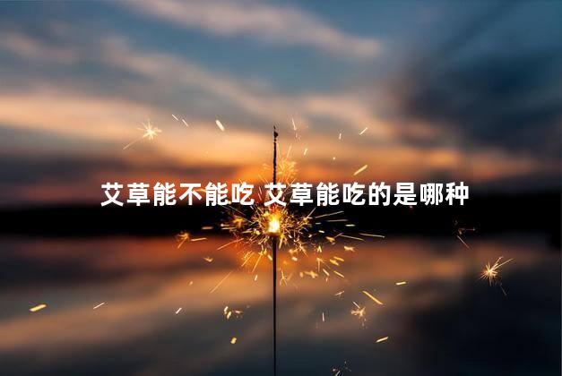 艾草能不能吃 艾草能吃的是哪种